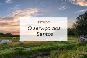 O serviço dos santos – Marcos Seidel